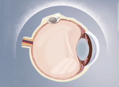 首页- J9集团国际站官网入口
