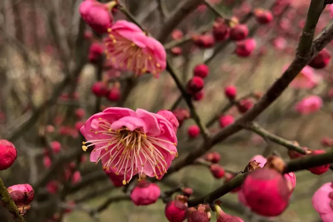 首页- J9集团国际站官网入口