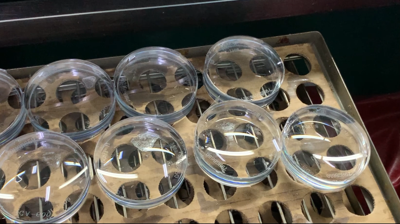 首页- J9集团国际站官网入口